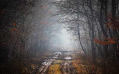 Bereit zum Abschied – bereit zum Neubeginn