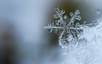 Dezemberabschiede: Trauer im Winter wiegt schwer