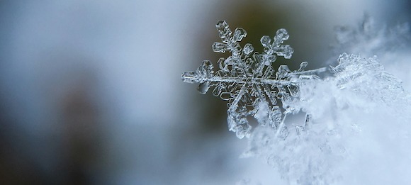 Dezemberabschiede: Trauer im Winter wiegt schwer