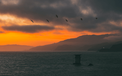 Ende und Anfang