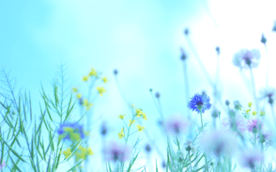 Frühling