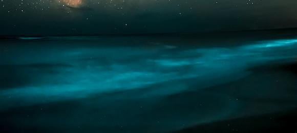 Die Geister der Nacht