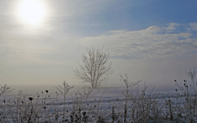 Frohes neues oder angstvoll erwartetes Jahr