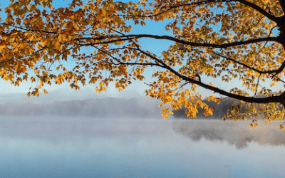 Des Herbstes Melancholie
