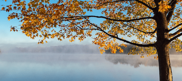 Des Herbstes Melancholie