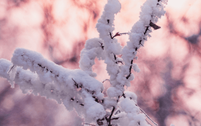 Aprilwetter – Kapriolen der Natur