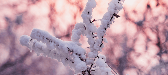 Aprilwetter – Kapriolen der Natur