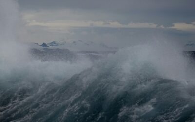 Stürmische Zeiten im Berufsalltag als Trauerrredner:in