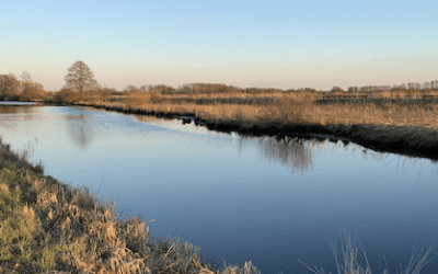 Wenn der Geist Ruhe findet und die Seele atmet