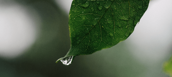 Lichte Momente in einem Regensommer